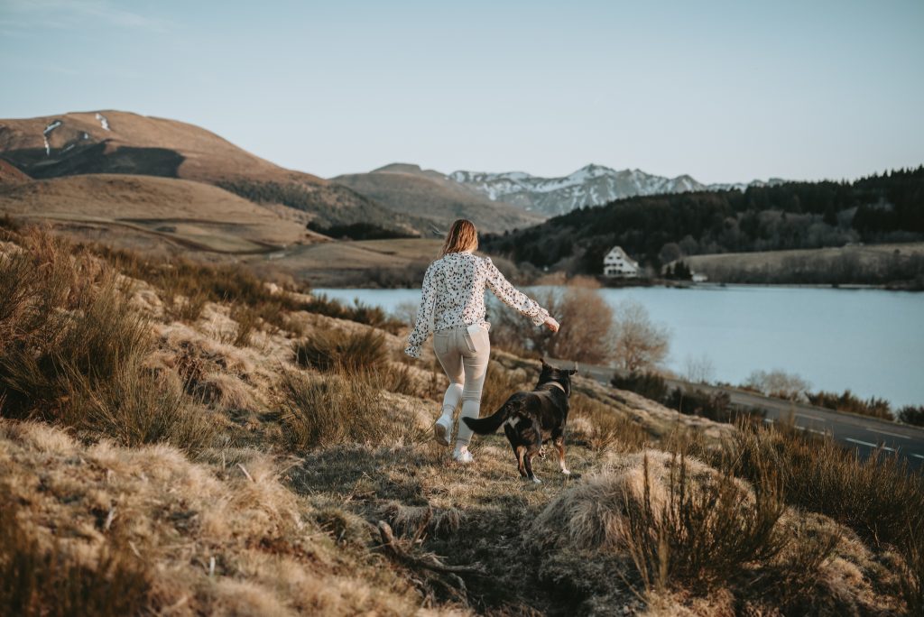 Photographe canin en Auvergne