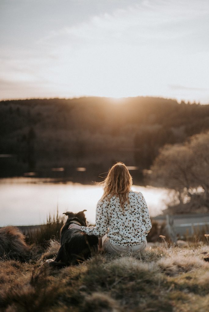 Photographe canin en Auvergne